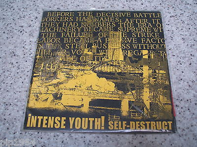 intense youth self destruct  usa punk  7" vinyl ep ex++
