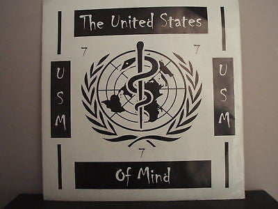 the united states of mind true to your school grey vinyl 7 inch single