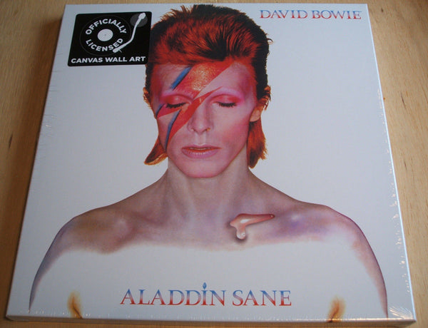 david bowie aladdin sane stretch canvas wall art 40cm x 40cm official