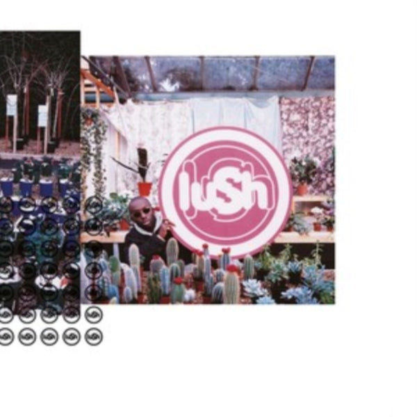 Lovelife Artist Lush Format:Vinyl / 12" Album Label:4AD