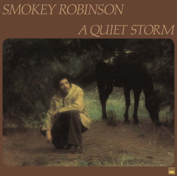 A quiet storm Artist Smokey Robinson Format:Vinyl / 12" Album Label:Elemental Music