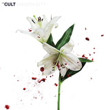 Hidden City Artist The Cult Format:Vinyl / 12" Album Coloured Vinyl (Limited Edition) Label:Cooking Vinyl