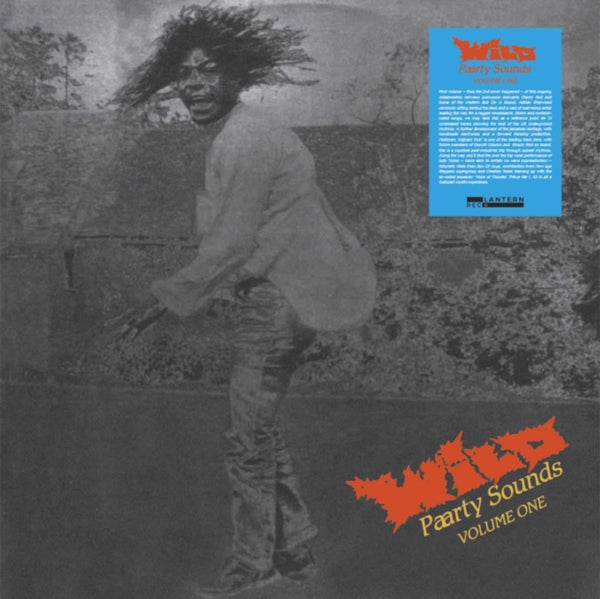 Wild Paarty Sounds - Volume One Artist Various Artists Format:Vinyl / 12" Album Label:Lantern Records