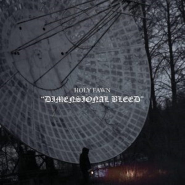 Dimensional Bleed Artist Holy Fawn Format:Vinyl / 12" Album