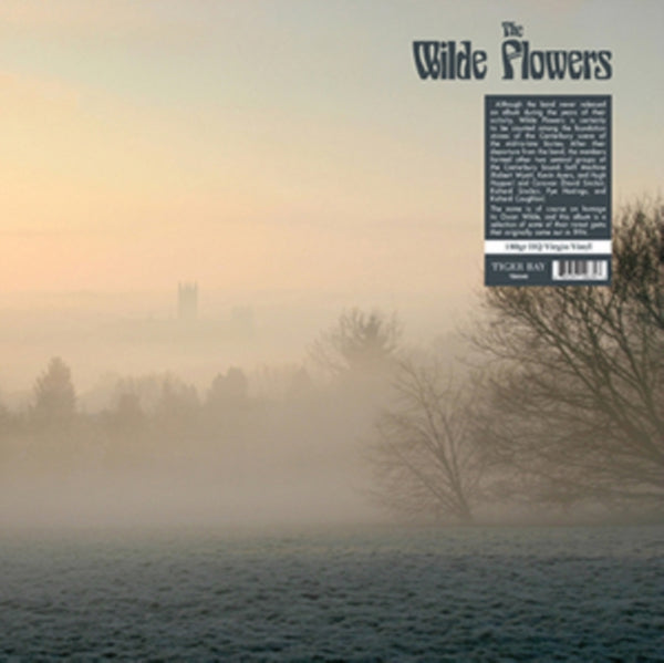 The Wilde Flowers Artist The Wilde Flowers Format:Vinyl / 12" Album Label:Tiger Bay