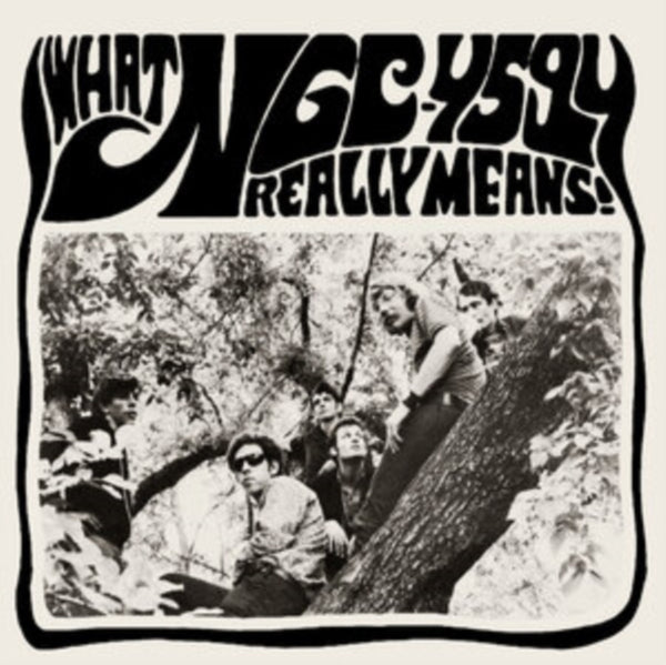 What NGC-4594 Really Means! Artist NGC-4594 Format:Vinyl / 12" Album with 7" Single Label:Guerssen