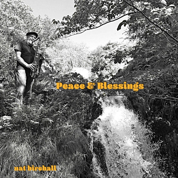Peace And Blessings Artist NAT BIRCHALL Format:LP Label:NA-BI RECORDS