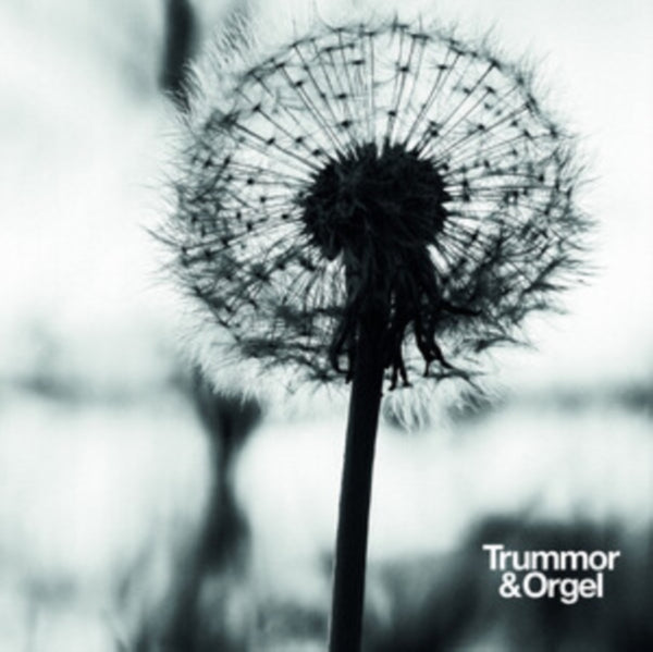 Graceful degradation/New beginning Artist Trummor &amp; Orgel Format:Vinyl / 12" Album Label:Introspection