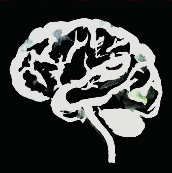 Brain Flakes Artist RUINS Format:LP Label:SPITTLE DEPENDANCE