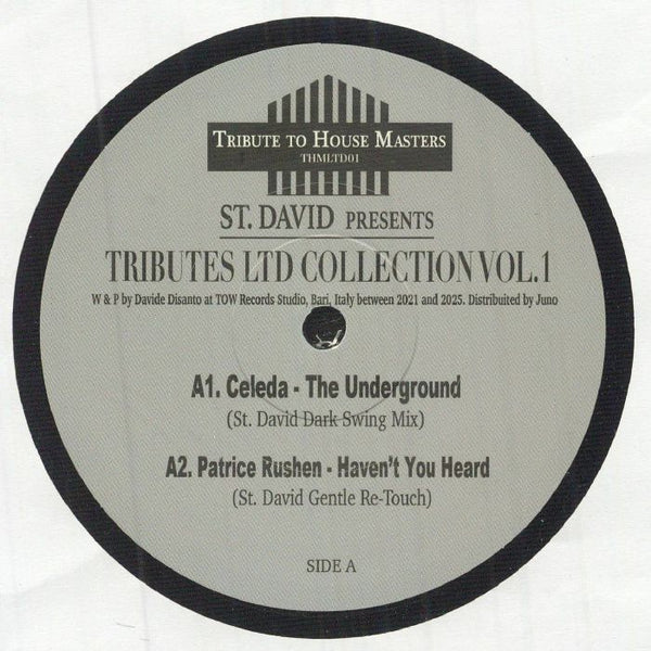 ST DAVID Tributes Ltd Collection Vol 1 Tribute To House Masters Format: 12"