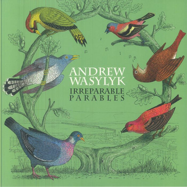 Andrew WASYLYK Irreparable Parables (pink vinyl LP) Clay Pipe
