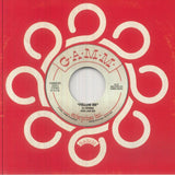 DJ SPINNA Follow Me (7") Gamm