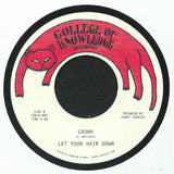LET YOUR HAIR DOWN Pingu's Anthem (7") College Of Knowledge Australia