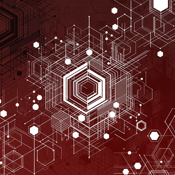 MEAT BEAT MANIFESTO & MERZBOW EXTINCT COMPACT DISC DIGI