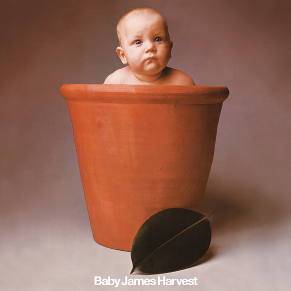 BARCLAY JAMES HARVEST BABY JAMES HARVEST (5 DISC DELUXE BOX SET) COMPACT DISC - 5 CD BOX SET