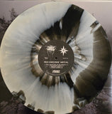 Vinyl record with a spiral design and label on a scenic background