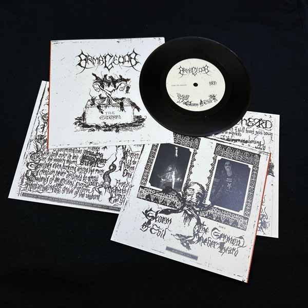 ARMAGEDDA THE STORM Vinyl 7"