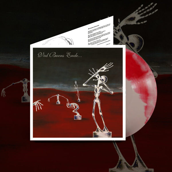 VED BUENS ENDE... WRITTEN IN WATERS (TRANSPARENT RED / GREY SWIRL VINYL 2LP) Vinyl Double Album
