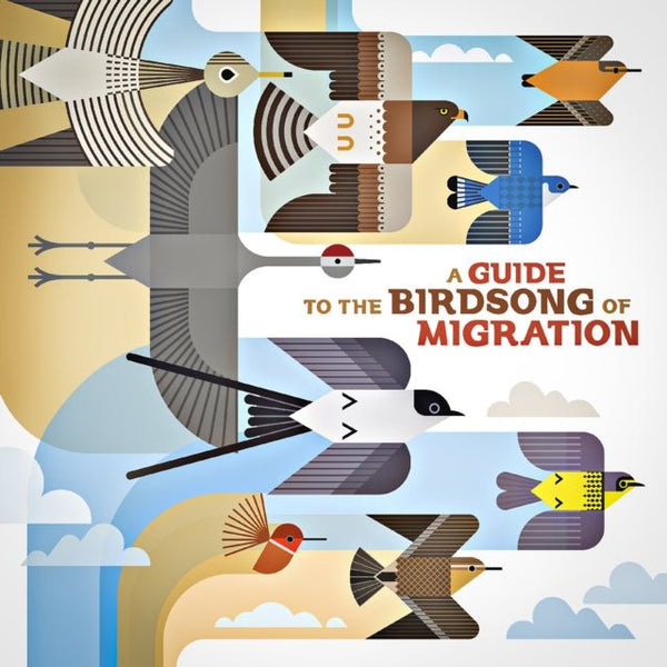 A Guide to the Birdsong of Migration Artist Various Artists Format:Vinyl / 12" Album Label:Shika Shika - punk to funk heaven