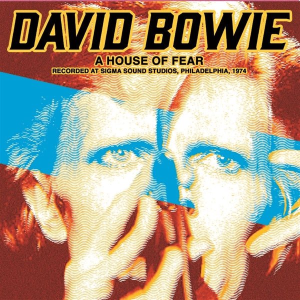 A House of Fear David Bowie Vinyl / 12" Album lp colour - punk to funk heaven