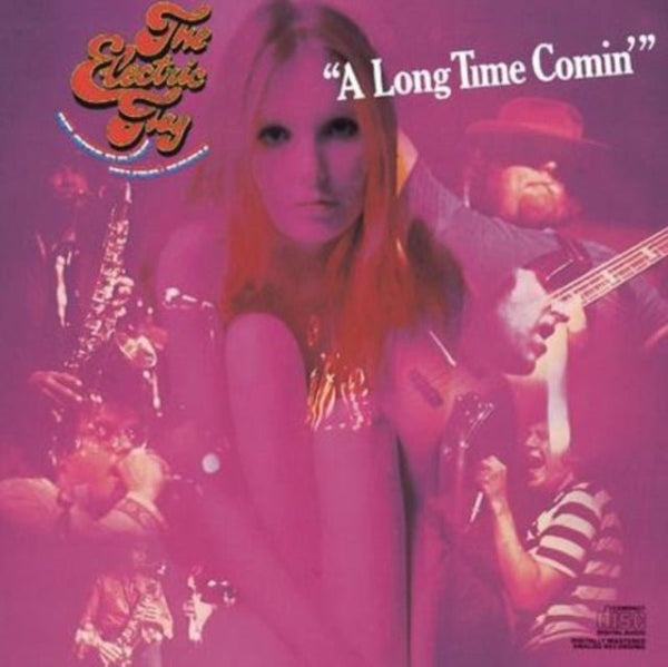 A Long Time Comin' Artist ELECTRIC FLAG Format:LP Label:COLUMBIA/BLUESONVINYL - punk to funk heaven