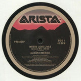 Alison LIMERICK Where Love Lives (30th Anniversary Edition) (12") Arista - punk to funk heaven