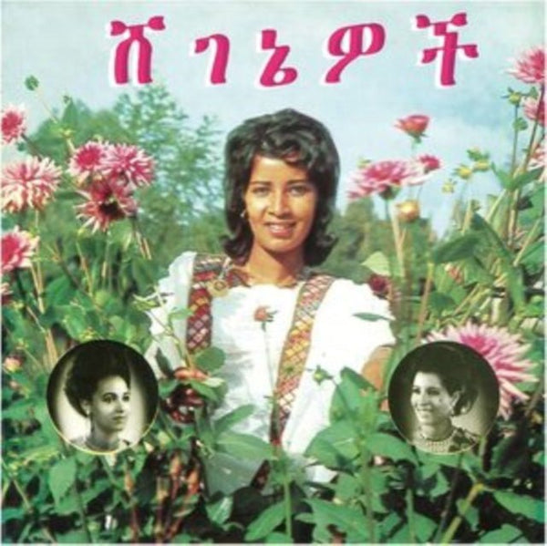 Beauties Artist Aselefech Ashine & Getenesh Kebret Format:Vinyl / 12" Album Label:Mississippi Records - punk to funk heaven