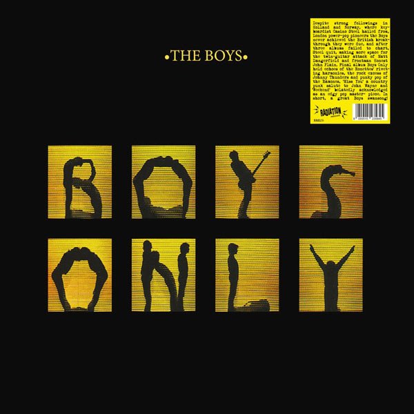 BOYS, THE BOYS ONLY VINYL LP - punk to funk heaven