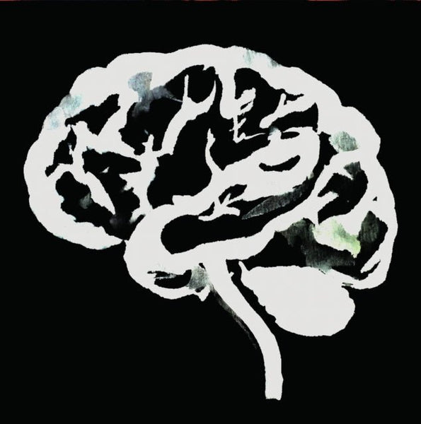 Brain Flakes Artist RUINS Format:LP Label:SPITTLE DEPENDANCE - punk to funk heaven