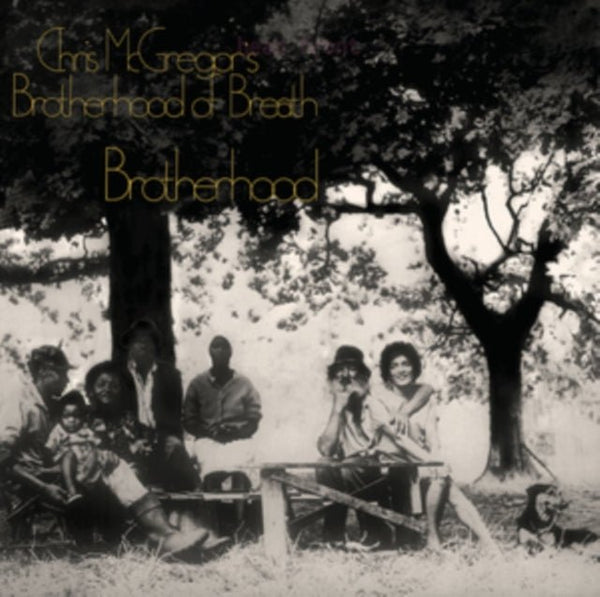 Brotherhood Artist Chris McGregor's Brotherhood of Breath Format:Vinyl / 12" Album Coloured Vinyl - punk to funk heaven