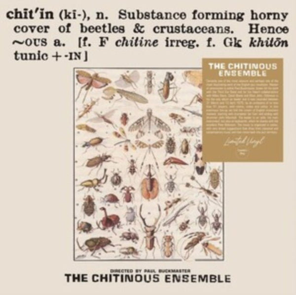 Chitinous Artist Chitinous Ensemble Format:Vinyl / 12" Album Label:Cosmic Jazz - punk to funk heaven
