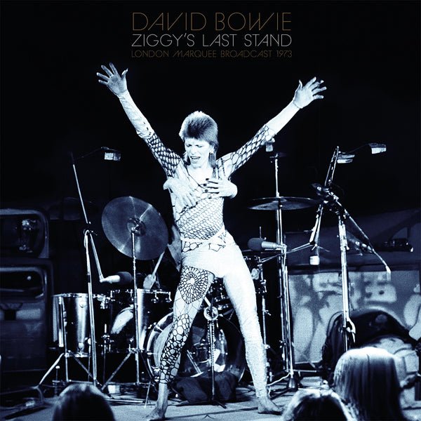 DAVID BOWIE ZIGGY'S LAST STAND (2LP) VINYL DOUBLE ALBUM - punk to funk heaven
