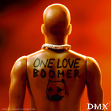 DMX Reaction Figures Wave 01 - DMX (It's Dark And Hell Is Hot) super 7
