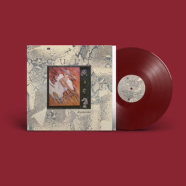 Dreamtime Artist The Cult Format:Vinyl / 12" Album Coloured Vinyl - punk to funk heaven