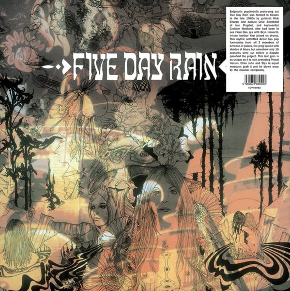 Five Day Rain Artist Five Day Rain Format:Vinyl / 12" Album Label:Trading Places - punk to funk heaven