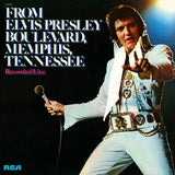 From Elvis Presley Blvd Memphis, TN - Orange Vinyl lp ltd numbered - punk to funk heaven