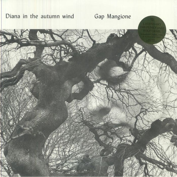 Gap MANGIONE Diana In The Autumn Wind (LP + insert) Be With - punk to funk heaven