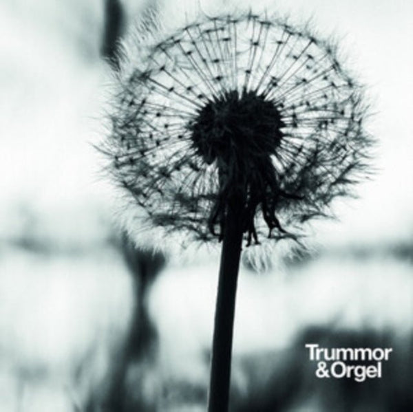 Graceful degradation/New beginning Artist Trummor &amp; Orgel Format:Vinyl / 12" Album Label:Introspection - punk to funk heaven