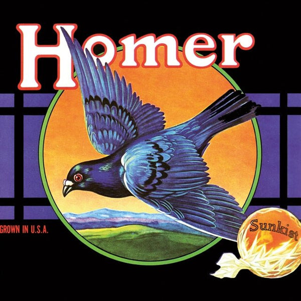 Grown In U.S.A. Artist HOMER Format:LP Label:GUERSSEN - punk to funk heaven