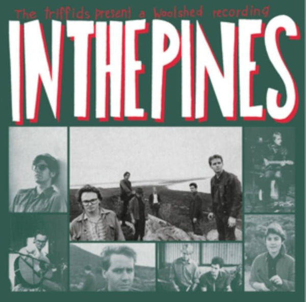 In the Pines Artist The Triffids Format:Vinyl / 12" Album Coloured Vinyl (Limited Edition) - punk to funk heaven