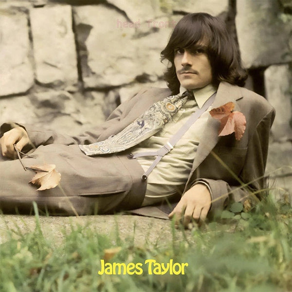 James Taylor Artist James Taylor Format:Vinyl / 12" Album Label:Endless Happiness - punk to funk heaven