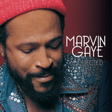 Marvin GAYE Collected Music On Vinyl Format: limited numbered 180 gram audiophile white &amp; silver vinyl 2xLP + booklet - punk to funk heaven