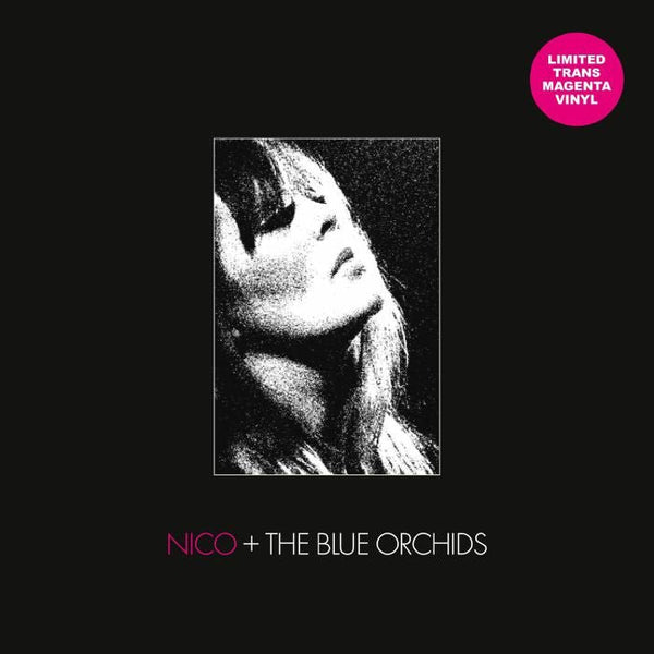 NICO / THE BLUE ORCHIDS Live & In Session 1982 Outsider Italy Format: transparent magenta vinyl LP - punk to funk heaven