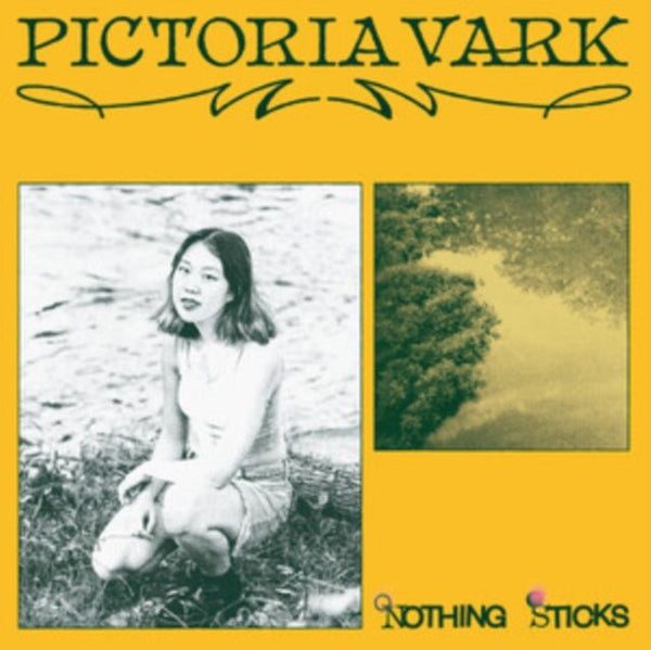Nothing Sticks Artist Pictoria Vark Format:Vinyl / 12" Album - punk to funk heaven