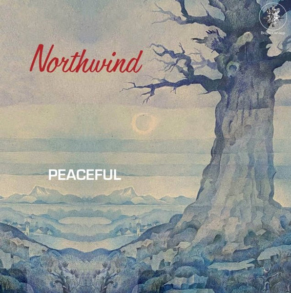 Peaceful Artist NORTHWIND Format:LP - punk to funk heaven