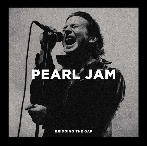 PEARL JAM BRIDGING THE GAP (2LP) Vinyl Double Album - punk to funk heaven