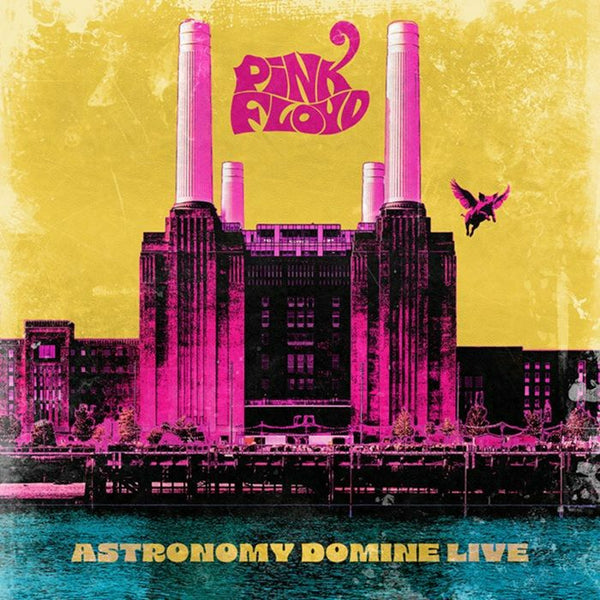 PINK FLOYD Astronomy Domine: Live Art Of Vinyl Format: 10xCD - punk to funk heaven