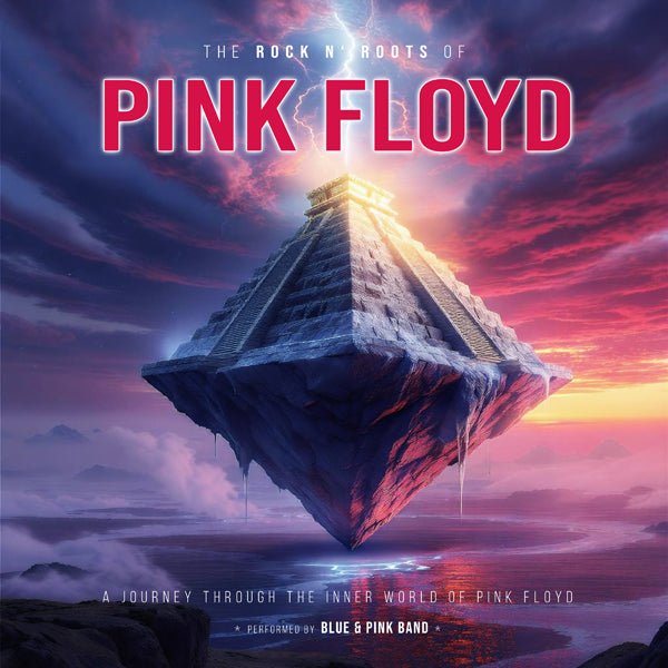 PINK FLOYD THE ROCK N ROOTS OF Vinyl LP - punk to funk heaven