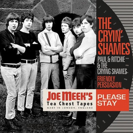 Please Stay Artist The Cryin' Shames Format:Vinyl / 12" Album Label:Perfect Kick Off - punk to funk heaven