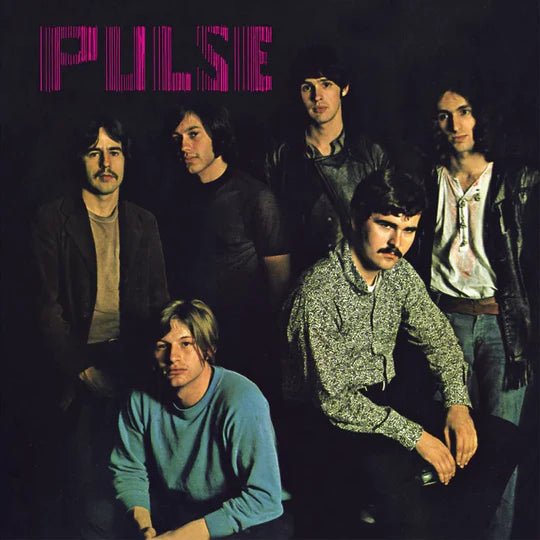 Pulse Artist PULSE Format:LP Label:OUT - SIDER MUSIC - punk to funk heaven
